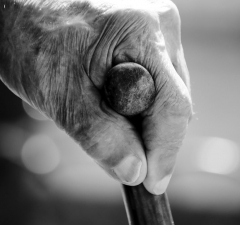 Agricultor mineiro obtém registro de nascimento aos 73 anos