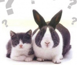 Revenda condenada por negociar veículo usado como se fosse zero quilômetro