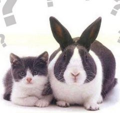 Revenda condenada por negociar veículo usado como se fosse zero quilômetro