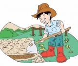 TRF4 pede que INSS revise aposentadoria de agricultor e inclua tempo que atuou com a família