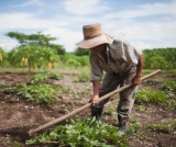 Fazendeiro não tem direito à aposentadoria rural especial