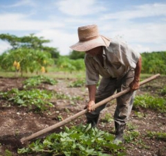 Fazendeiro não tem direito à aposentadoria rural especial