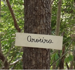 Proprietário rural em MS é condenado por uso ilegal de madeira de preservação