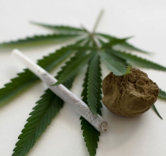 Suspensa ação penal por ausência de comprovação de transnacionalidade do crime de tráfico