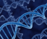 Criança será indenizada por erro em DNA