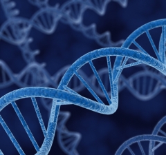Criança será indenizada por erro em DNA