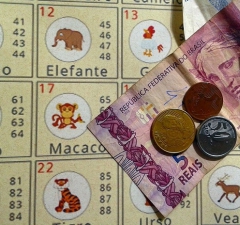 Lotérica catarinense fecha por prática de jogo do bicho