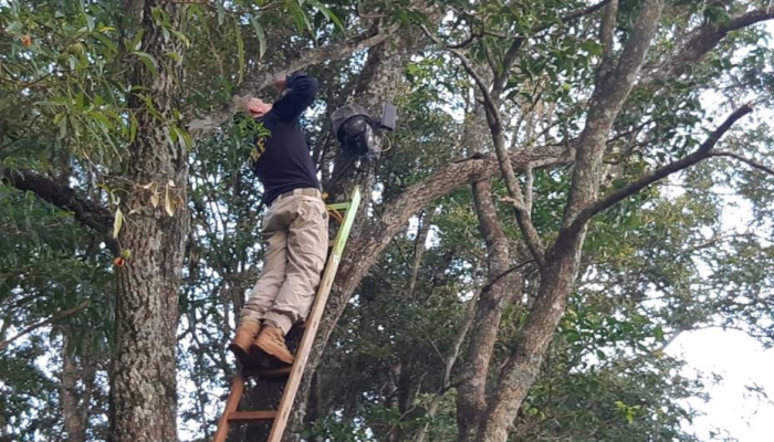 Bandidos descarados mantinham base de vigilância em frente à polícia. Resultado: cadeia
