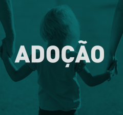 Paraná é o estado com maior número de adoções internacionais