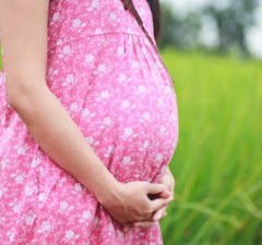 Mulher que auxiliava os pais em trabalho rural tem direito a salário-maternidade