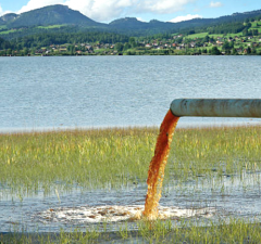 JBS terá que pagar mais de R$ 1,5 milhão por dano ambiental no Mato Grosso, confirma STJ