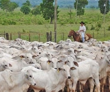 Quem vive em cidade e possui múltiplos bens não tem direito a aposentadoria rural