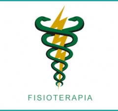 Fisioterapeutas podem supervisionar treinamentos funcionais