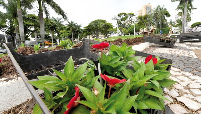 Dinheiro do IPTU vira flor em Umuarama