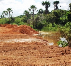 Família assentada em brejo tem direito a novo lote de terra