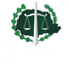 Defensoria orienta gratuitamente organizações da sociedade civil